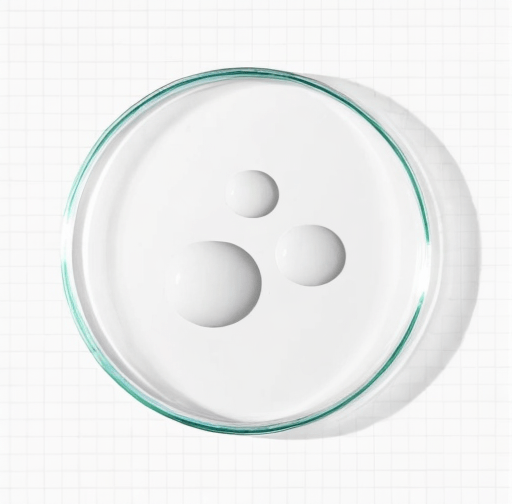 Placa de petrio ccon el producto